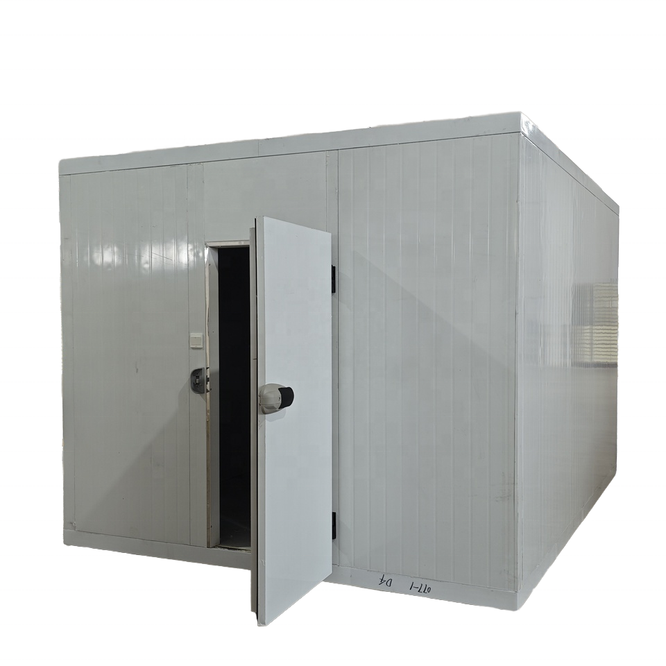 Walk in Cooler Fridge Refriger – Commercial Kitchen Fridge recenzja i cena